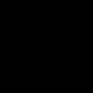 Meet your Posher, Sabrina